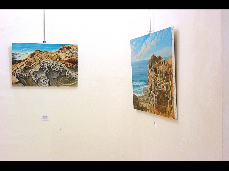 Solo exhibition organized by the Galleria Il Melograno of Livorno