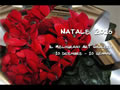 Natale 2016<br />Il Melograno Art Gallery - Livorno