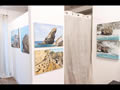 Solo exhibition
	ALESSANDRO DANZINI SOLO SHOW